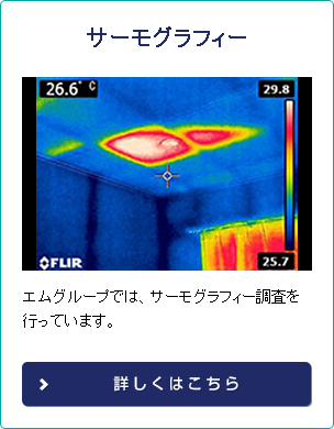 サーモグラフィー